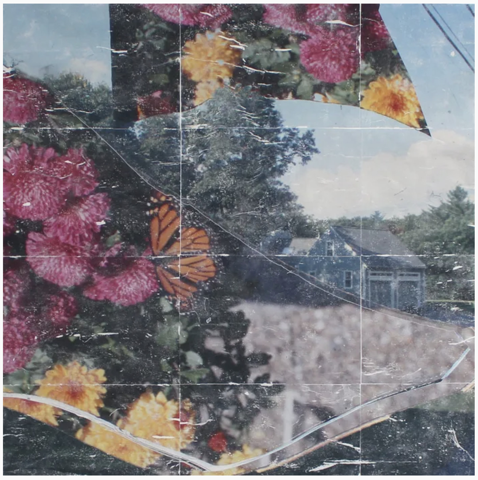 SID WHITE-JONES Image