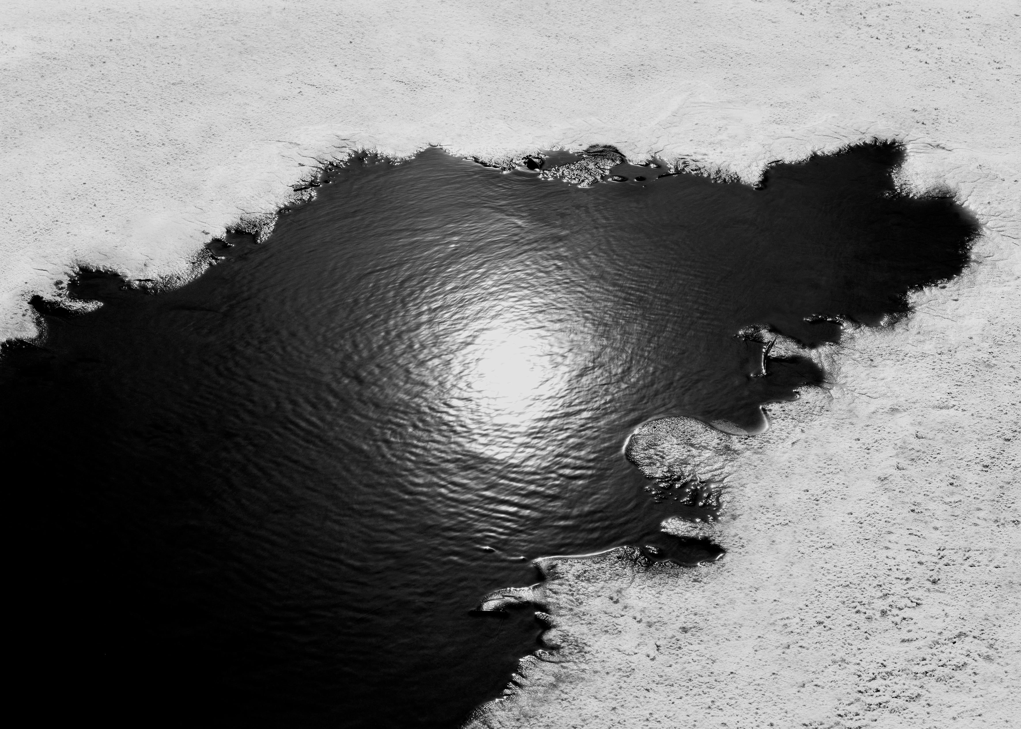 ELIZABETH BLACKIE Image