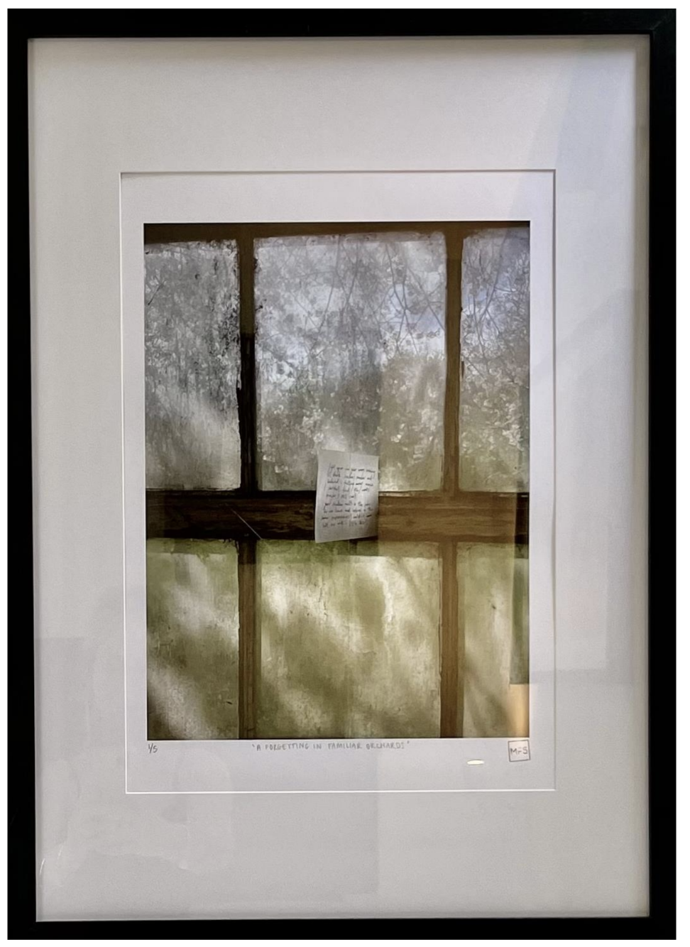 MADDIE SAGGERS Image